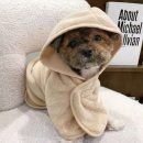Hondenbadjas maat M - Hondenhanddoek met capuchon - Beige